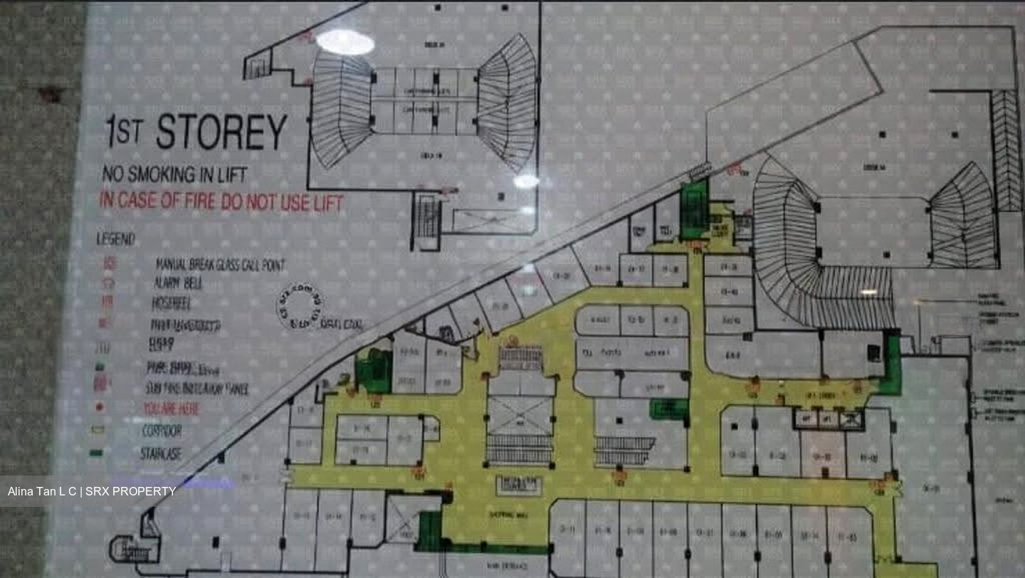 Bukit Timah Shopping Centre (D21), Shop House #623039831
